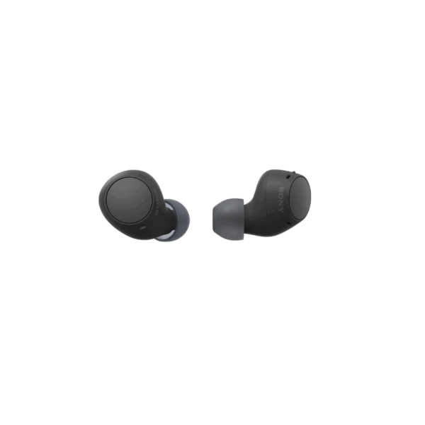 SONY WF-C510 Truly Wireless Earbuds | Black